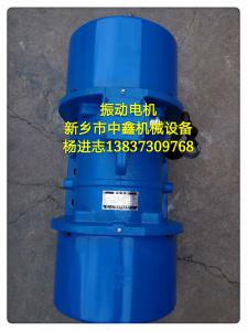 振動(dòng)電機